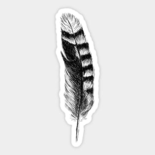 Jay Feather Print Sticker